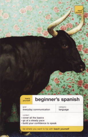 Stacey, Hevia - Beginner's Spanish (Teach Yourself)